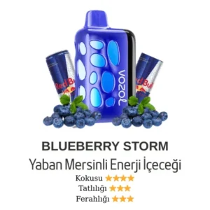 VOZOL 40000-BLUEBERRY STORM