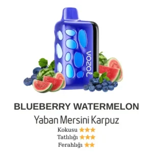 VOZOL 40000-BLUEBERRY WATERMELON